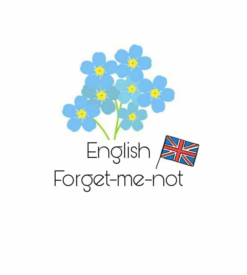 English tutor / Английский