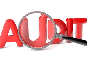 Аудитор