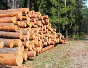 Рудничная стойка, 5 500 ₽, Донецк, ДНР